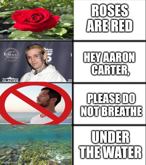 I worked kinda hard on this | ROSES ARE RED; HEY AARON 
CARTER, PLEASE DO NOT BREATHE; UNDER THE WATER | image tagged in roses are red | made w/ Imgflip meme maker
