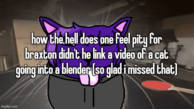 tge silly | how the hell does one feel pity for braxton didn't he link a video of a cat going into a blender (so glad i missed that) | image tagged in tge silly | made w/ Imgflip meme maker