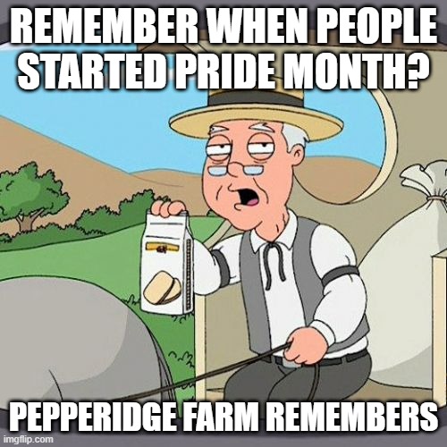 I want to start Pride month | REMEMBER WHEN PEOPLE STARTED PRIDE MONTH? PEPPERIDGE FARM REMEMBERS | image tagged in memes,pepperidge farm remembers,funny | made w/ Imgflip meme maker