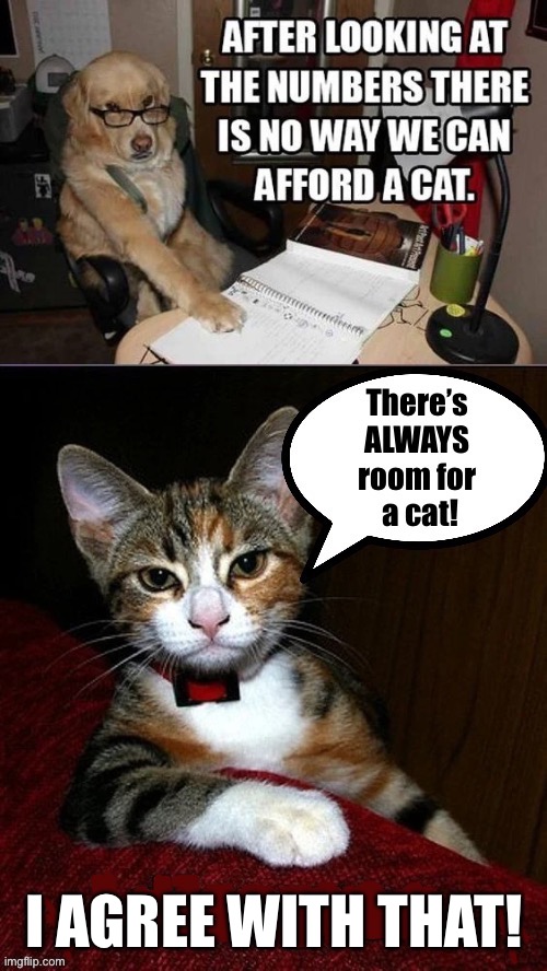We’ll cut corners… somewhere… | I AGREE WITH THAT! | image tagged in cats,room for a cat | made w/ Imgflip meme maker