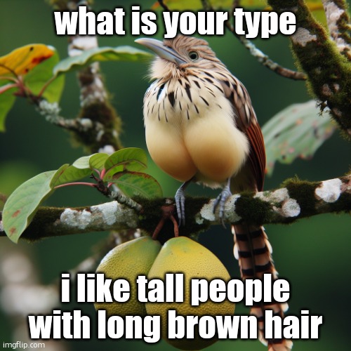 a bird on the twig of a tree with huge testicles | what is your type; i like tall people with long brown hair | image tagged in a bird on the twig of a tree with huge testicles | made w/ Imgflip meme maker
