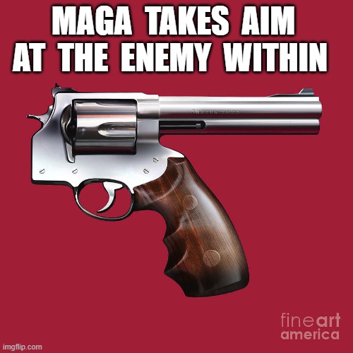 Get Em, Maga! | MAGA  TAKES  AIM  AT  THE  ENEMY  WITHIN | image tagged in enemy | made w/ Imgflip meme maker