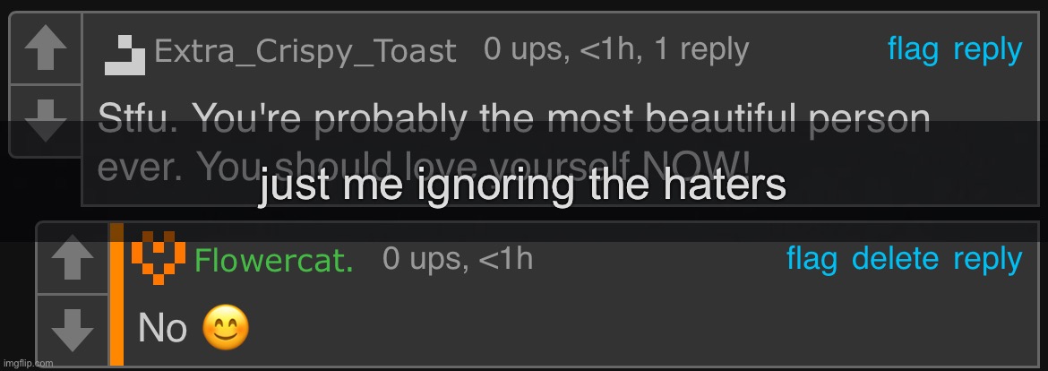 just me ignoring the haters | made w/ Imgflip meme maker