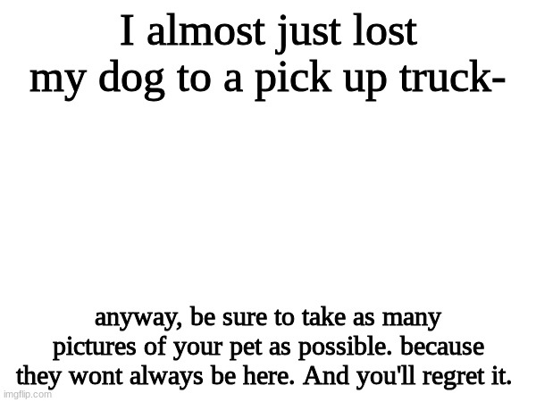 just some sad words of wisdom | I almost just lost my dog to a pick up truck-; anyway, be sure to take as many pictures of your pet as possible. because they wont always be here. And you'll regret it. | made w/ Imgflip meme maker