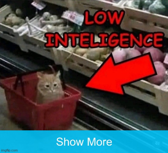 Low intelligence | image tagged in low intelligence | made w/ Imgflip meme maker