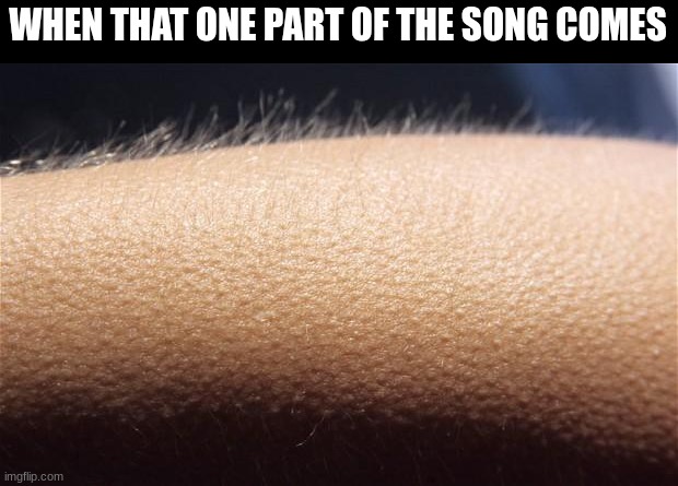 Turn the volume up | WHEN THAT ONE PART OF THE SONG COMES | image tagged in goosebumps | made w/ Imgflip meme maker