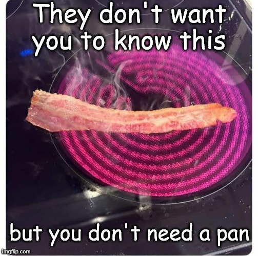 No pan needed | They don't want you to know this; but you don't need a pan | image tagged in memes,overload,no pan needed | made w/ Imgflip meme maker