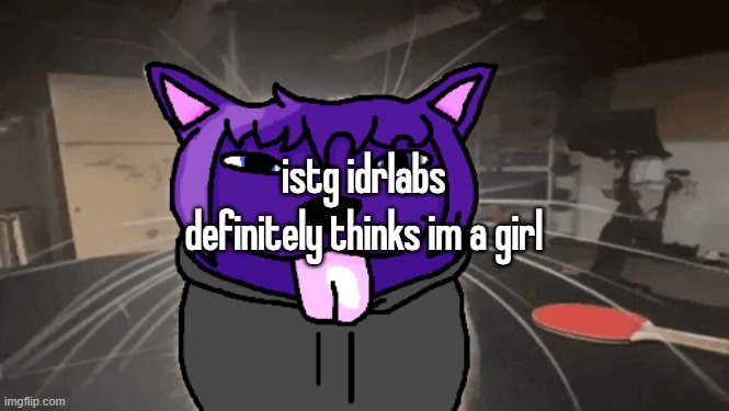 tge silly | istg idrlabs definitely thinks im a girl | image tagged in tge silly | made w/ Imgflip meme maker