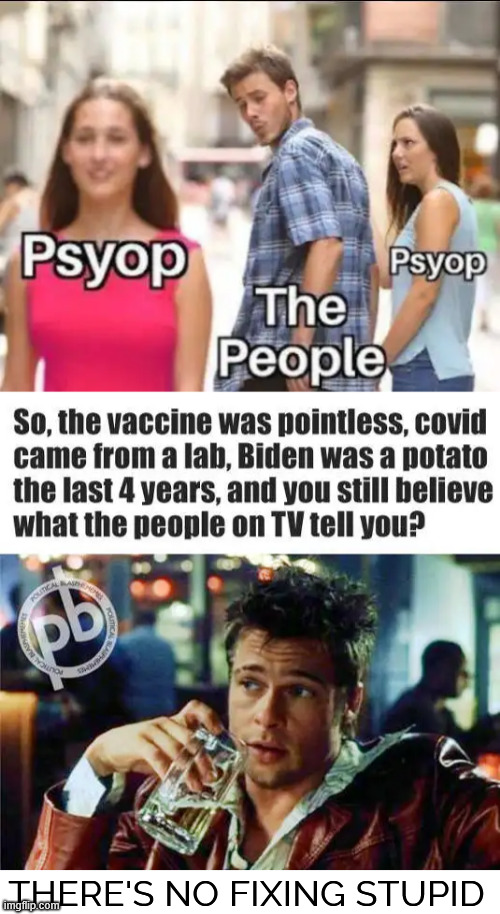 There's no fixing stupid people | THERE'S NO FIXING STUPID | image tagged in no fixing stupid people | made w/ Imgflip meme maker