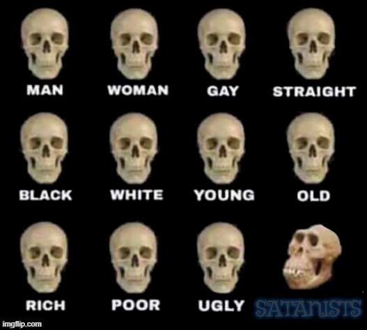 idiot skull | SATANISTS | image tagged in idiot skull | made w/ Imgflip meme maker