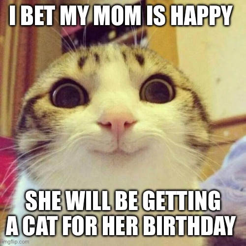 Smiling Cat | I BET MY MOM IS HAPPY; SHE WILL BE GETTING A CAT FOR HER BIRTHDAY | image tagged in memes,smiling cat | made w/ Imgflip meme maker