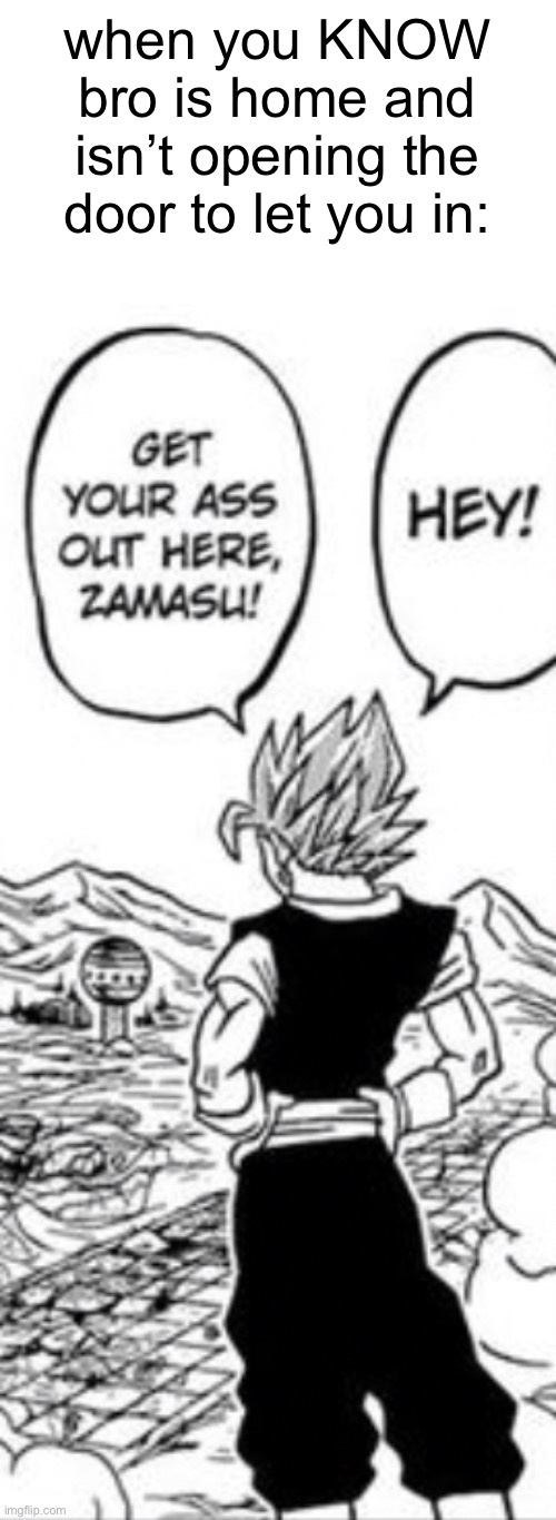 Open the door | when you KNOW bro is home and isn’t opening the door to let you in: | image tagged in goku,vegeta,dbz fusion,zamasu,anime,dragon ball super | made w/ Imgflip meme maker