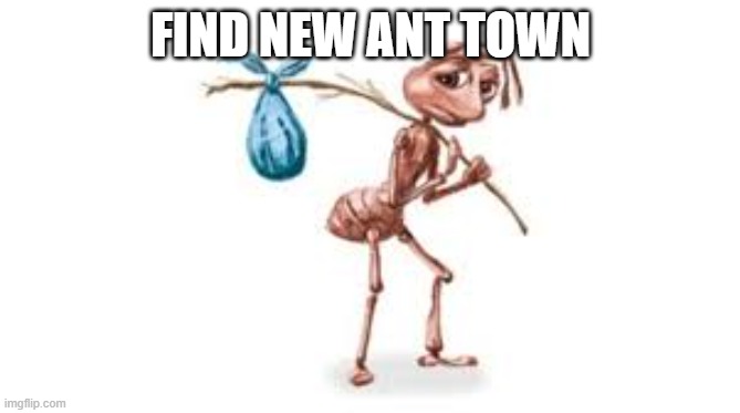 Homeless ant | FIND NEW ANT TOWN | image tagged in homeless ant | made w/ Imgflip meme maker