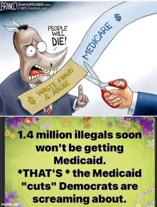 Illegals are not entitled to Medicaid | image tagged in cutting,medicaid,for illegals | made w/ Imgflip meme maker