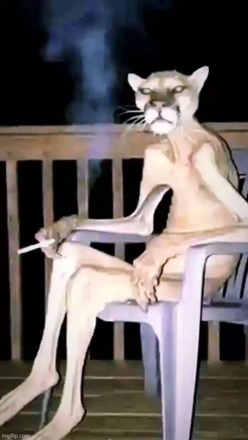 live action pink panther | made w/ Imgflip meme maker