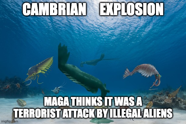 Cambrian explosion | CAMBRIAN     EXPLOSION; MAGA THINKS IT WAS A TERRORIST ATTACK BY ILLEGAL ALIENS | image tagged in recreated cambrian ocean | made w/ Imgflip meme maker