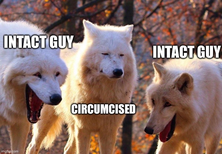 circumcised | INTACT GUY; INTACT GUY; CIRCUMCISED | image tagged in 2/3 wolves laugh | made w/ Imgflip meme maker