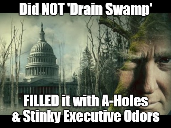 Did NOT 'Drain Swamp' | Did NOT 'Drain Swamp'; FILLED it with A-Holes
& Stinky Executive Odors | image tagged in drain the swamp | made w/ Imgflip meme maker