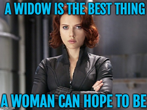 A Widow Is The Best Thing A Woman Can Hope To Be | A WIDOW IS THE BEST THING; A WOMAN CAN HOPE TO BE | image tagged in black widow - not impressed,black widow,thoroughly modern marriage,society sucks,death,hope | made w/ Imgflip meme maker
