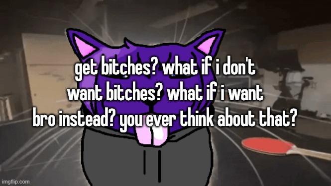 tge silly | get bitches? what if i don't want bitches? what if i want bro instead? you ever think about that? | image tagged in tge silly | made w/ Imgflip meme maker