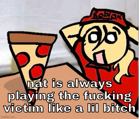 the manipulator manipulates again | nat is always playing the fucking victim like a lil bitch | image tagged in piza | made w/ Imgflip meme maker