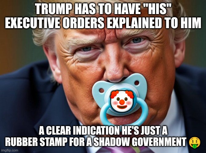 Executive Orders | TRUMP HAS TO HAVE "HIS" EXECUTIVE ORDERS EXPLAINED TO HIM; 🤡; A CLEAR INDICATION HE'S JUST A RUBBER STAMP FOR A SHADOW GOVERNMENT 🤑 | image tagged in trump,gop,maga,nazi,fascist,shadow government | made w/ Imgflip meme maker