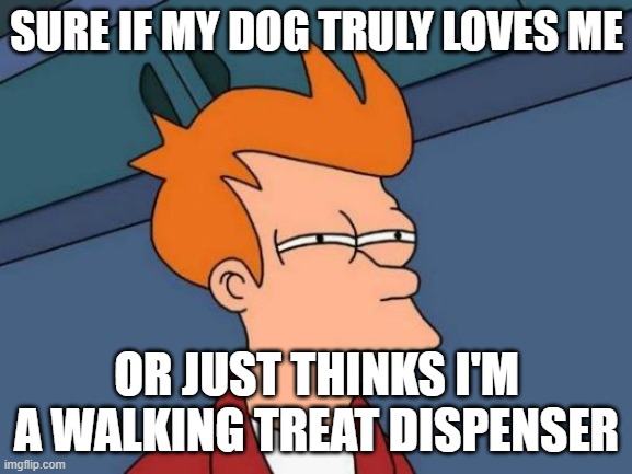 Funny xd | SURE IF MY DOG TRULY LOVES ME; OR JUST THINKS I'M A WALKING TREAT DISPENSER | image tagged in memes,futurama fry,front page plz | made w/ Imgflip meme maker