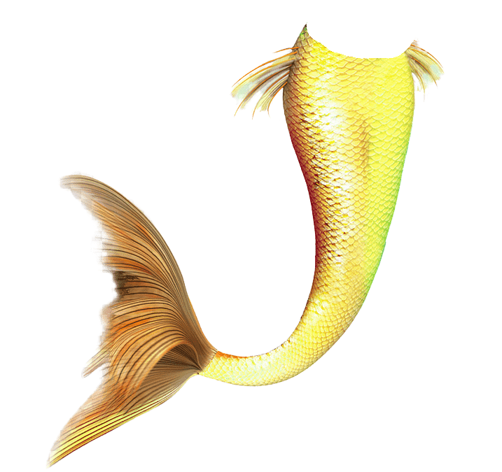 yellow tail Blank Meme Template