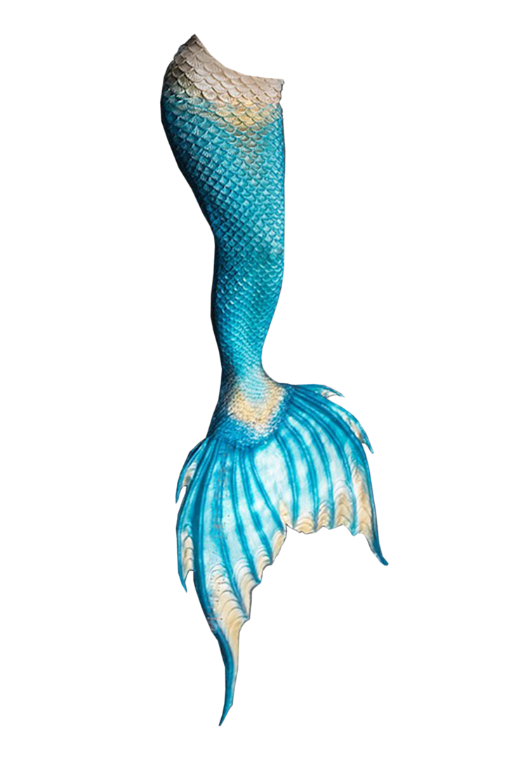 blue tail Blank Meme Template