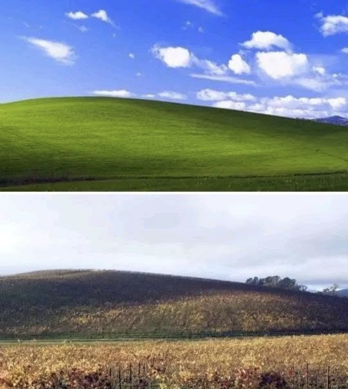 High Quality windows screen Blank Meme Template