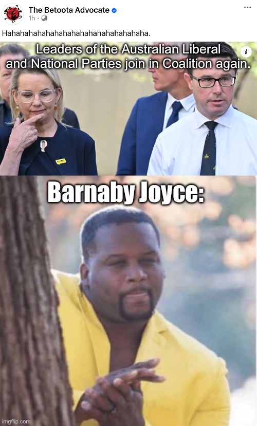 Australian Politics: party, party, party system | Leaders of the Australian Liberal and National Parties join in Coalition again. Barnaby Joyce: | image tagged in licking lips,party,partners in crime | made w/ Imgflip meme maker