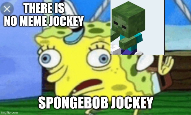 chicken jockey bro | THERE IS NO MEME JOCKEY; SPONGEBOB JOCKEY | image tagged in chicken,funny | made w/ Imgflip meme maker