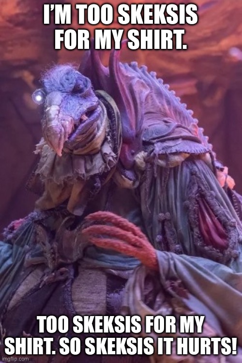 I’m too sexy | I’M TOO SKEKSIS FOR MY SHIRT. TOO SKEKSIS FOR MY SHIRT. SO SKEKSIS IT HURTS! | image tagged in skexy dark crystal | made w/ Imgflip meme maker