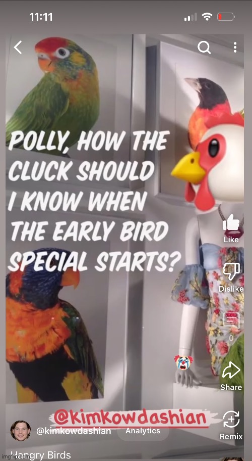 Hangry Birds | image tagged in angry birds,chic chicken,fashion kartoon,bergdorf goodman,1111,brian einersen | made w/ Imgflip meme maker