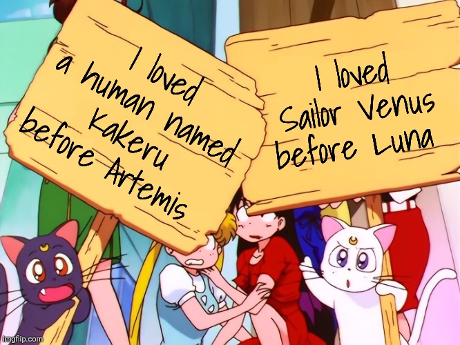 Speaking human language seems to make cats romantically confused. | I loved Sailor Venus before Luna; I loved a human named Kakeru before Artemis | image tagged in artemis luna,funny animals,attraction,unexpected results,surprise,sailor moon | made w/ Imgflip meme maker