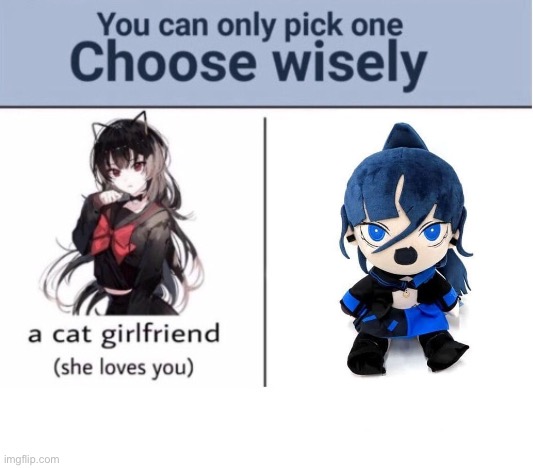 Choose wisely | image tagged in choose wisely | made w/ Imgflip meme maker