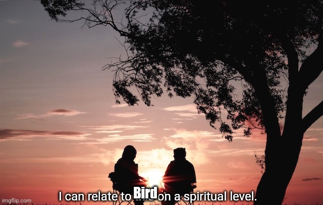 I can relate to this on a spiritual level. | Bird | image tagged in i can relate to this on a spiritual level | made w/ Imgflip meme maker