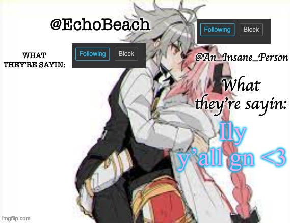 EchoBeach and InsanePerson shared temp :3 | Ily y’all gn <3 | image tagged in echobeach and insaneperson shared temp 3 | made w/ Imgflip meme maker