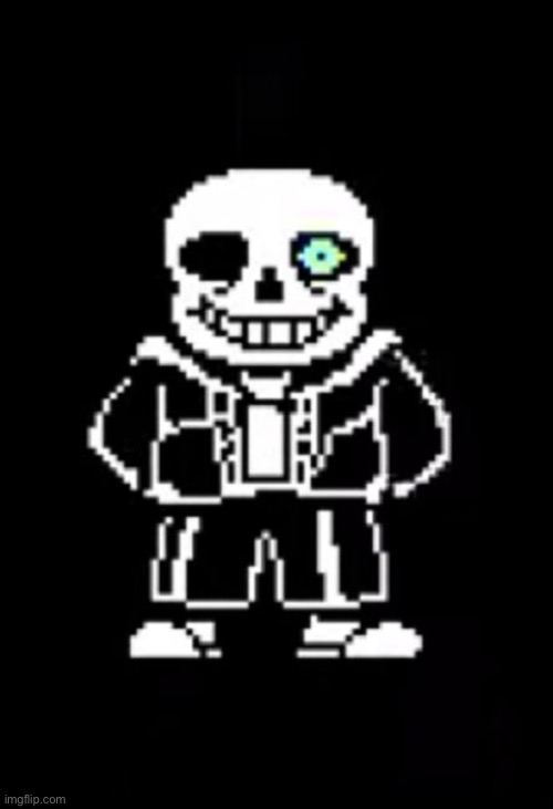 Sans the Skeleton | image tagged in sans the skeleton | made w/ Imgflip meme maker