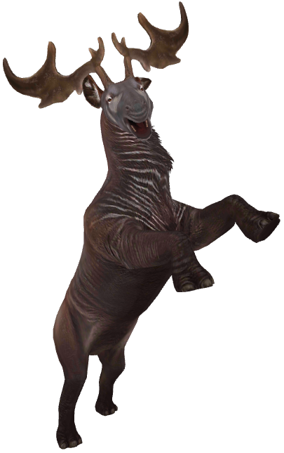 Indricoceros Blank Meme Template