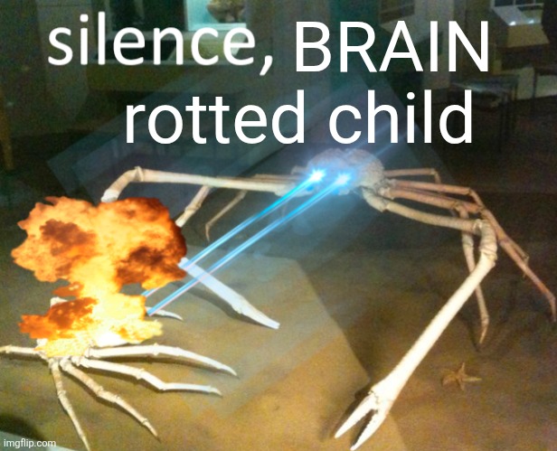 Silence Crab | BRAIN rotted child | image tagged in silence crab | made w/ Imgflip meme maker