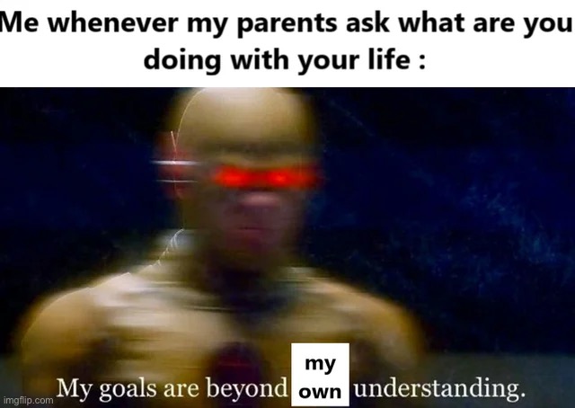 trying to figure it out | image tagged in funny,memes,musca,cats,dogs,animals | made w/ Imgflip meme maker