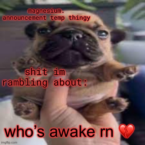 ain’t THAT late | who’s awake rn 💔 | image tagged in pug temp | made w/ Imgflip meme maker