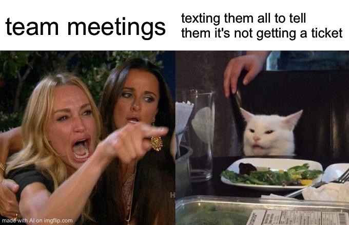 Woman Yelling At Cat | team meetings; texting them all to tell them it's not getting a ticket | image tagged in memes,woman yelling at cat | made w/ Imgflip meme maker