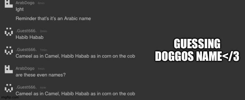 Cameel as in Camel, Habib Habab as in corn on the cob | GUESSING DOGGOS NAME</3 | image tagged in lum no comment | made w/ Imgflip meme maker