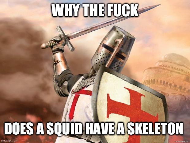 crusader | WHY THE FUCK DOES A SQUID HAVE A SKELETON | image tagged in crusader | made w/ Imgflip meme maker