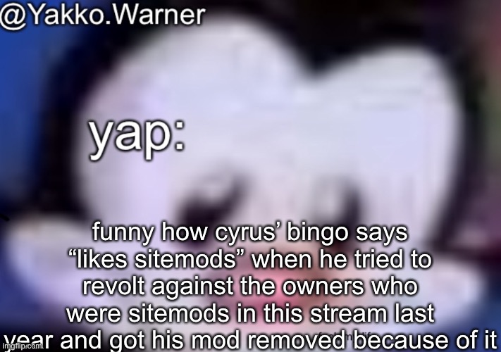 yappo i mean yakko.warner template | funny how cyrus’ bingo says “likes sitemods” when he tried to revolt against the owners who were sitemods in this stream last year and got his mod removed because of it | image tagged in yappo i mean yakko warner template | made w/ Imgflip meme maker