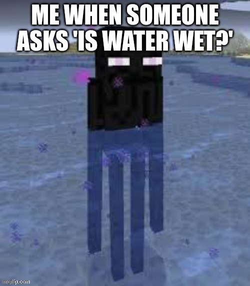 Cursed Enderman | ME WHEN SOMEONE ASKS 'IS WATER WET?' | image tagged in cursed enderman | made w/ Imgflip meme maker