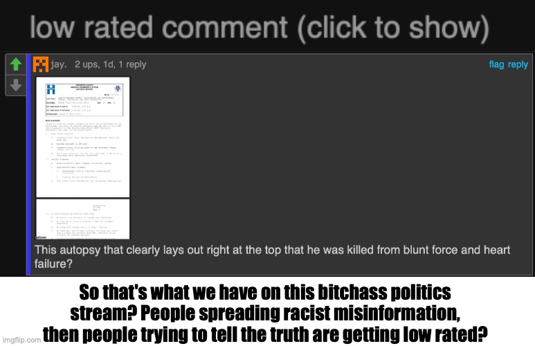 Context: A user claimed that the murder of George Floyd was fake | So that's what we have on this bitchass politics stream? People spreading racist misinformation, then people trying to tell the truth are getting low rated? | made w/ Imgflip meme maker