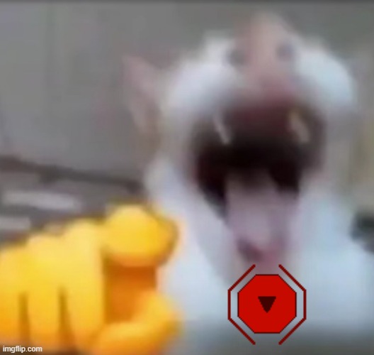 Cat pointing and laughing | image tagged in cat pointing and laughing | made w/ Imgflip meme maker